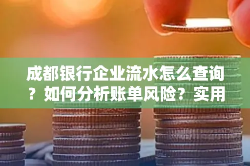 成都银行企业流水怎么查询?如何分析账单风险?实用指南
