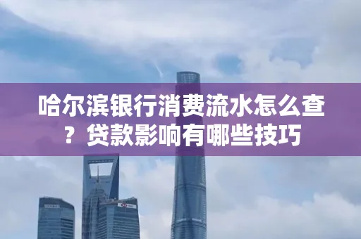 哈尔滨银行消费流水怎么查?贷款影响有哪些技巧